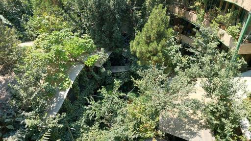 عکس موزه دکتر حسابی