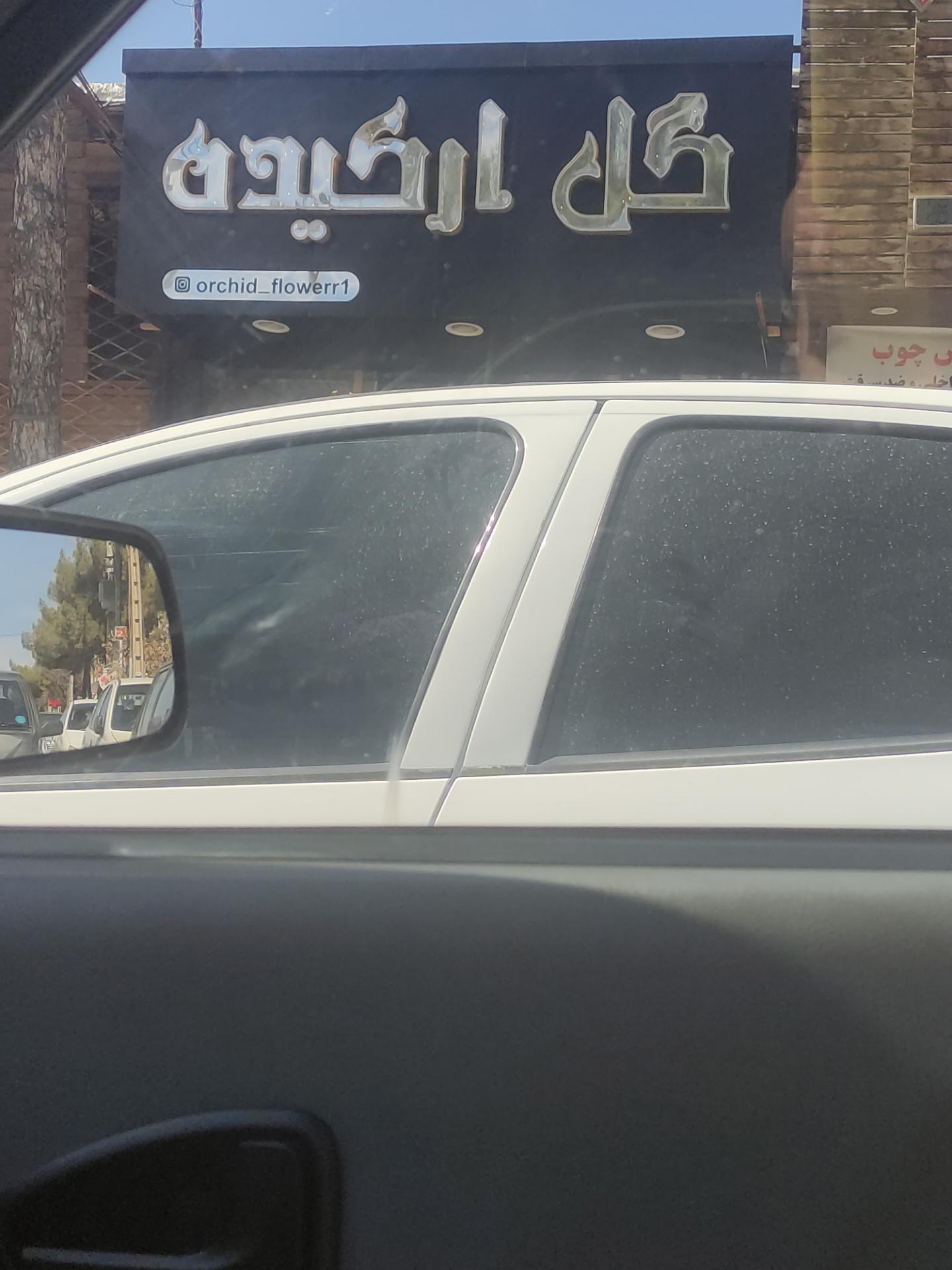 عکس گل ارکیده