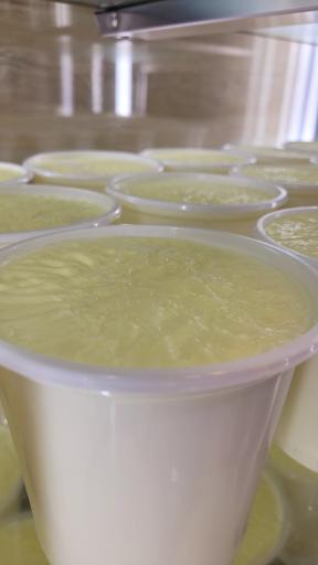 عکس لبنیات محلی ممتاز