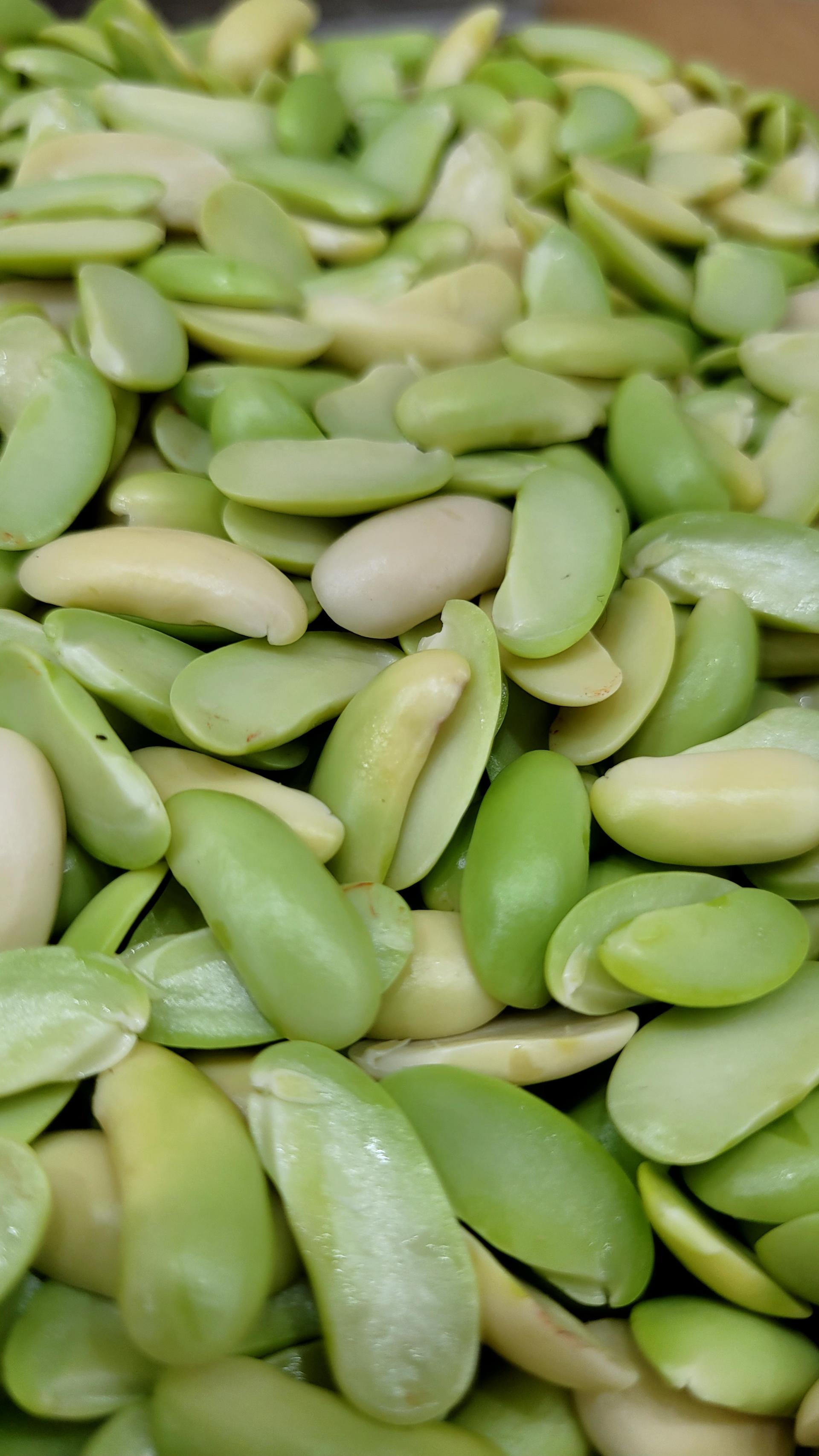 عکس لبنیات محلی ممتاز