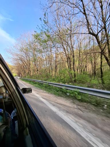 عکس پارک جنگلی گلستان