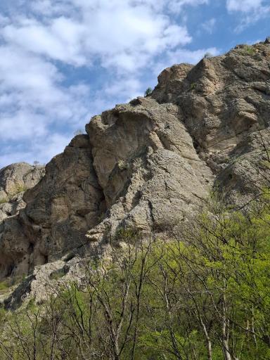 عکس پارک جنگلی گلستان