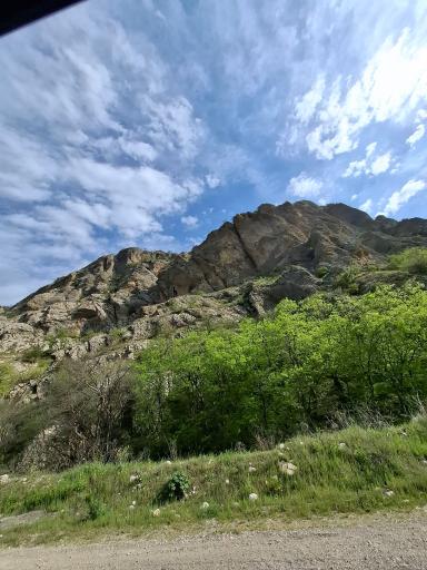 عکس پارک جنگلی گلستان