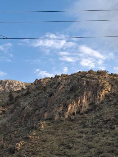 عکس پارک جنگلی گلستان