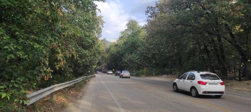 عکس پارک جنگلی گلستان