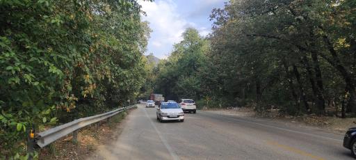 عکس پارک جنگلی گلستان