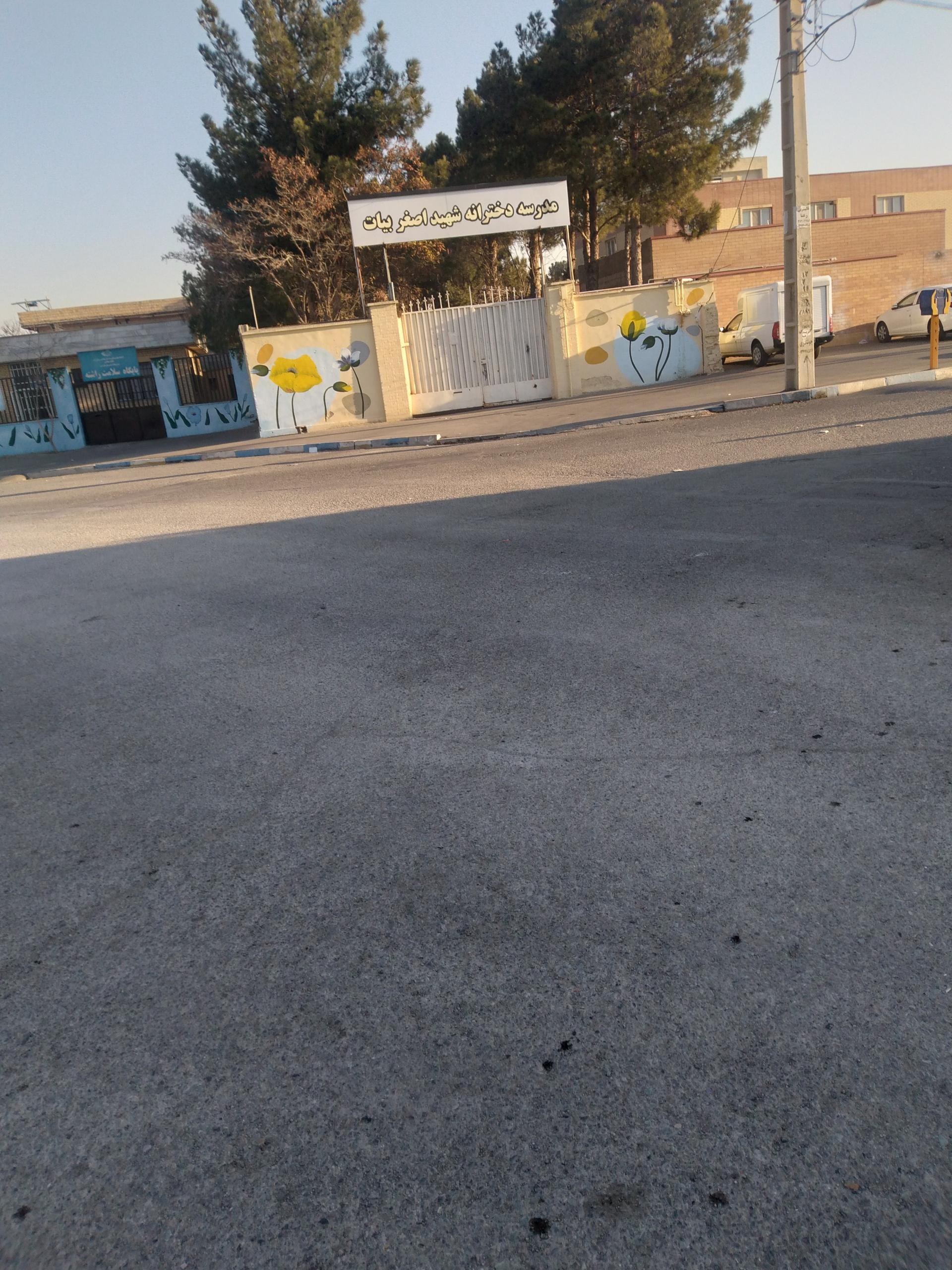 عکس دبستان دخترانه شهيد اصغر بيات