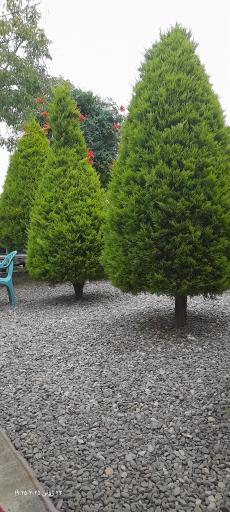 عکس سفرخانه سنتی باغ سبز