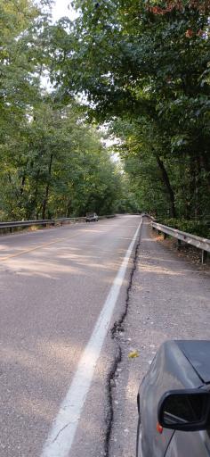 عکس پارک جنگلی گلستان