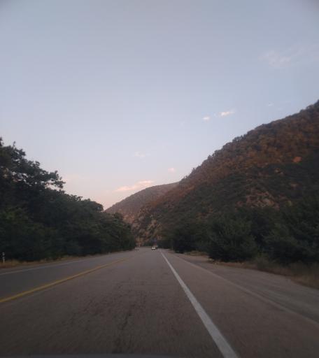 عکس پارک جنگلی گلستان