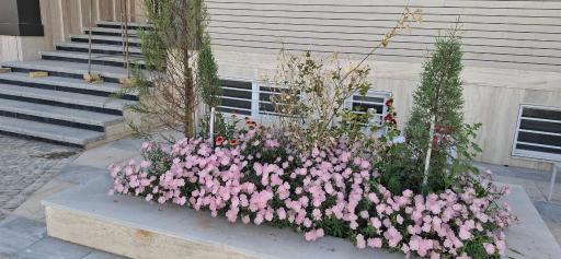 عکس مرکز جراحی بی بی خاور