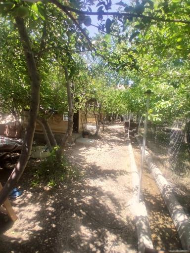 عکس باغ اقاجون