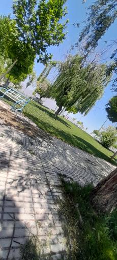 عکس بوستان شهید الماس وندی 