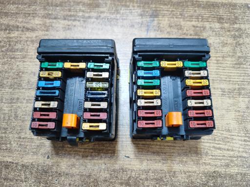 عکس زانتیا تبریز (زانتیا یدک‌ کرمی نژاد)