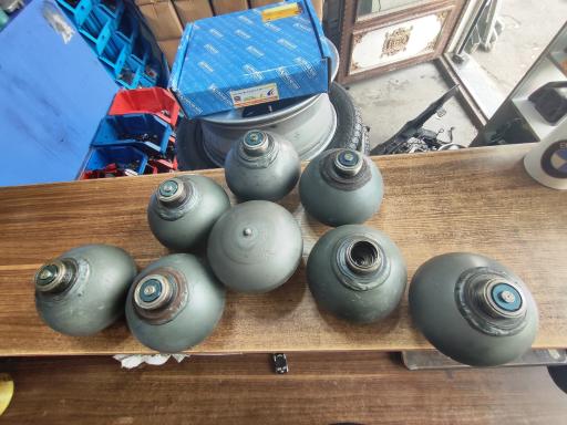 عکس زانتیا تبریز (زانتیا یدک‌ کرمی نژاد)