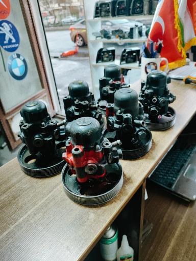 عکس زانتیا تبریز (زانتیا یدک‌ کرمی نژاد)