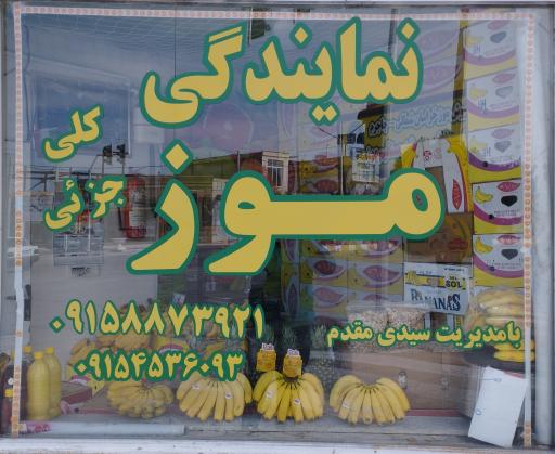 عکس نمایندگی موز 