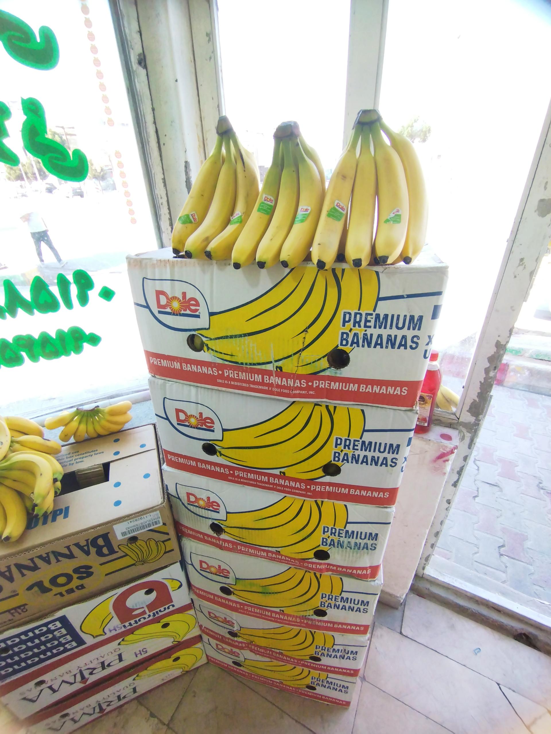 عکس نمایندگی موز 