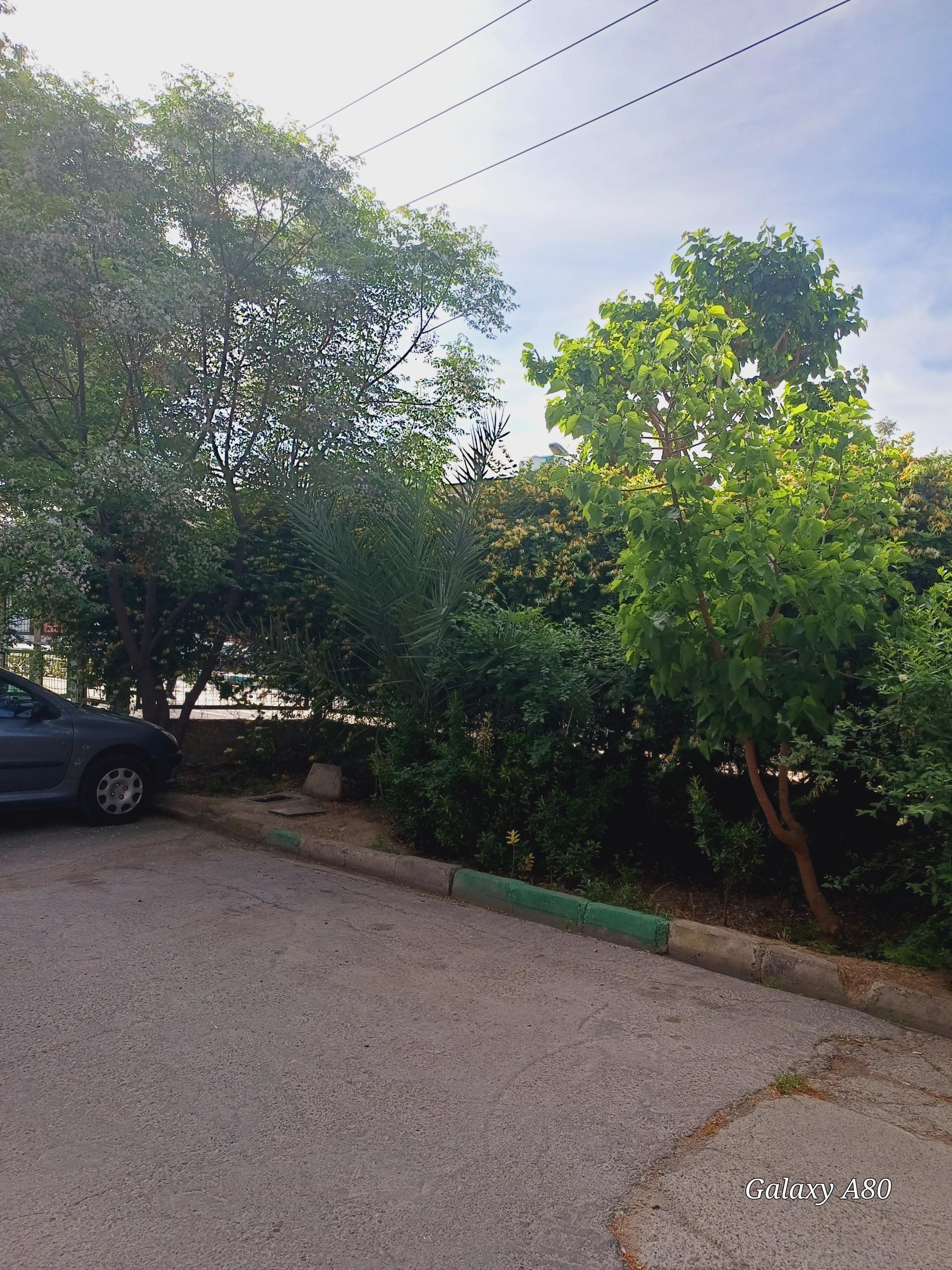 عکس مجتمع مسکونی گلها فاز 2