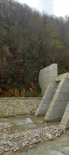 عکس بند مشبک تنه و سرشاخه گیر