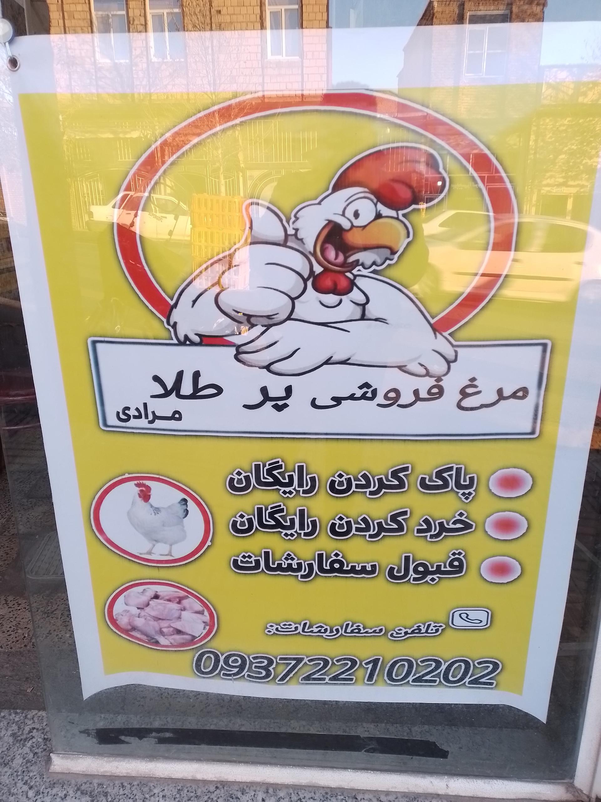 عکس مرغ فروشی پرطلا(مرادی)