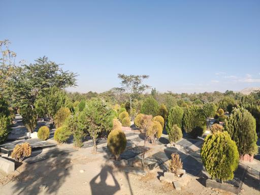 عکس بلوک ۵۶ آرامستان وادی رحمت