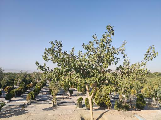 عکس بلوک ۵۶ آرامستان وادی رحمت