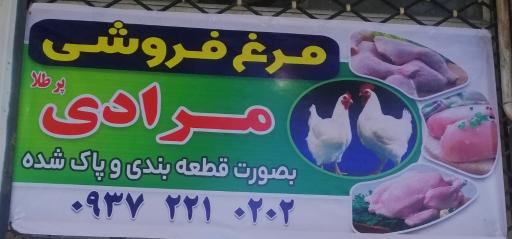 عکس مرغ فروشی پرطلا