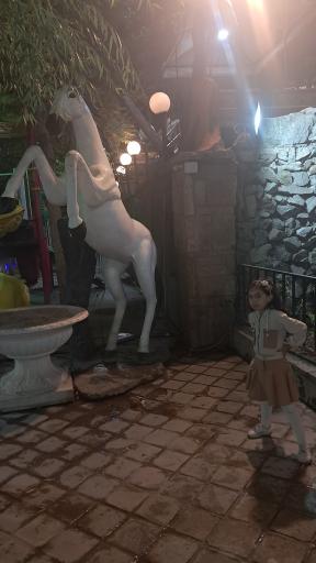 عکس رستوران پارسه شاندیز