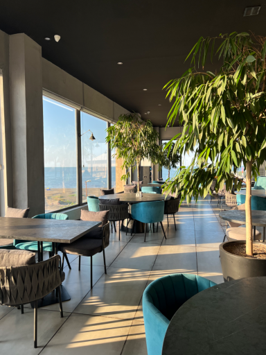 عکس فود لانژ ۳۶۵