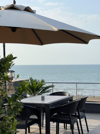 عکس فود لانژ ۳۶۵