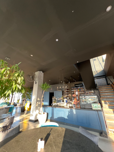 عکس فود لانژ ۳۶۵