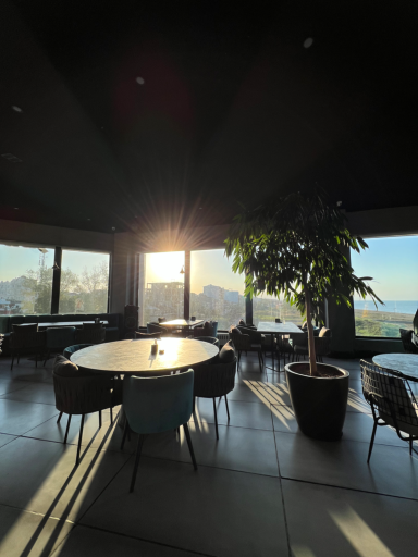 عکس فود لانژ ۳۶۵