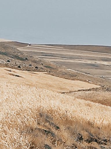 عکس میاندره