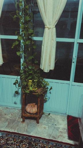 عکس کافه سیاچومه