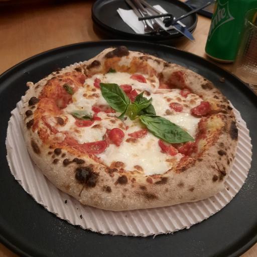 عکس کافه بام لوتوس