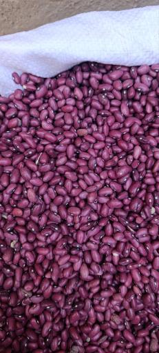 پخش حبوبات مصطفایی 