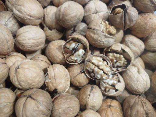 پخش حبوبات مصطفایی 