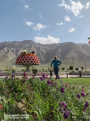 عکس میدان عسل