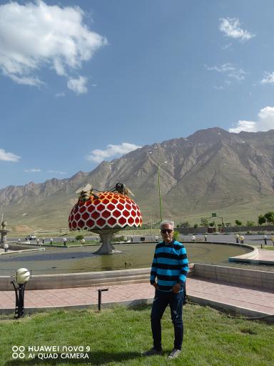 عکس میدان عسل