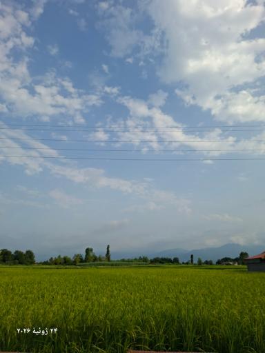 عکس کلاچای