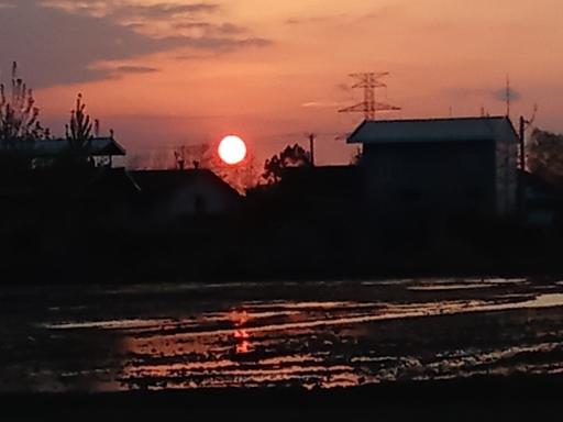 عکس کلاچای