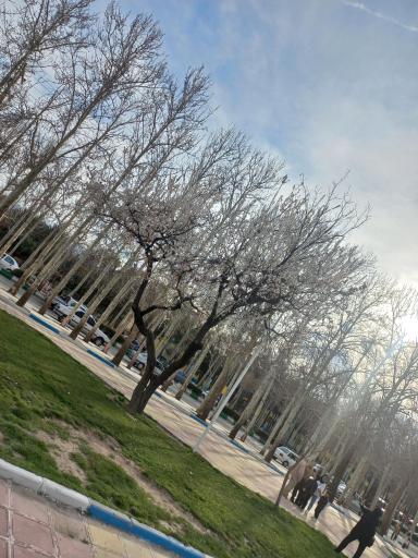 عکس پارک یادبود (پارک سماور)