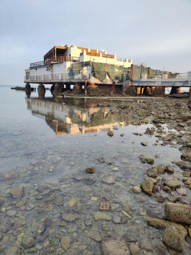 عکس رستوران دریایی سیاف