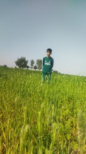 عکس لردگان