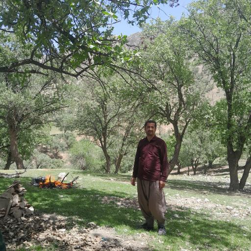 عکس لردگان