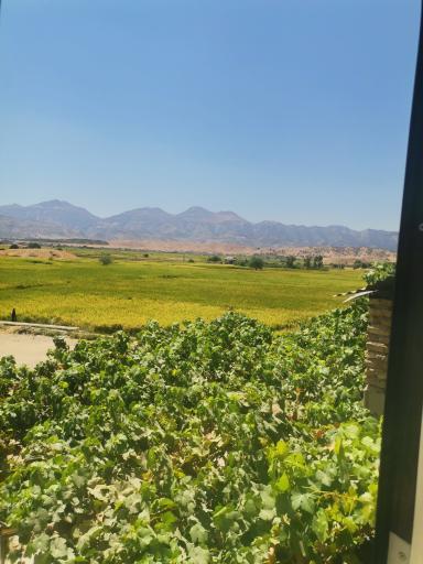 عکس لردگان