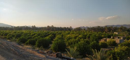 عکس باغ تالار آرزوها