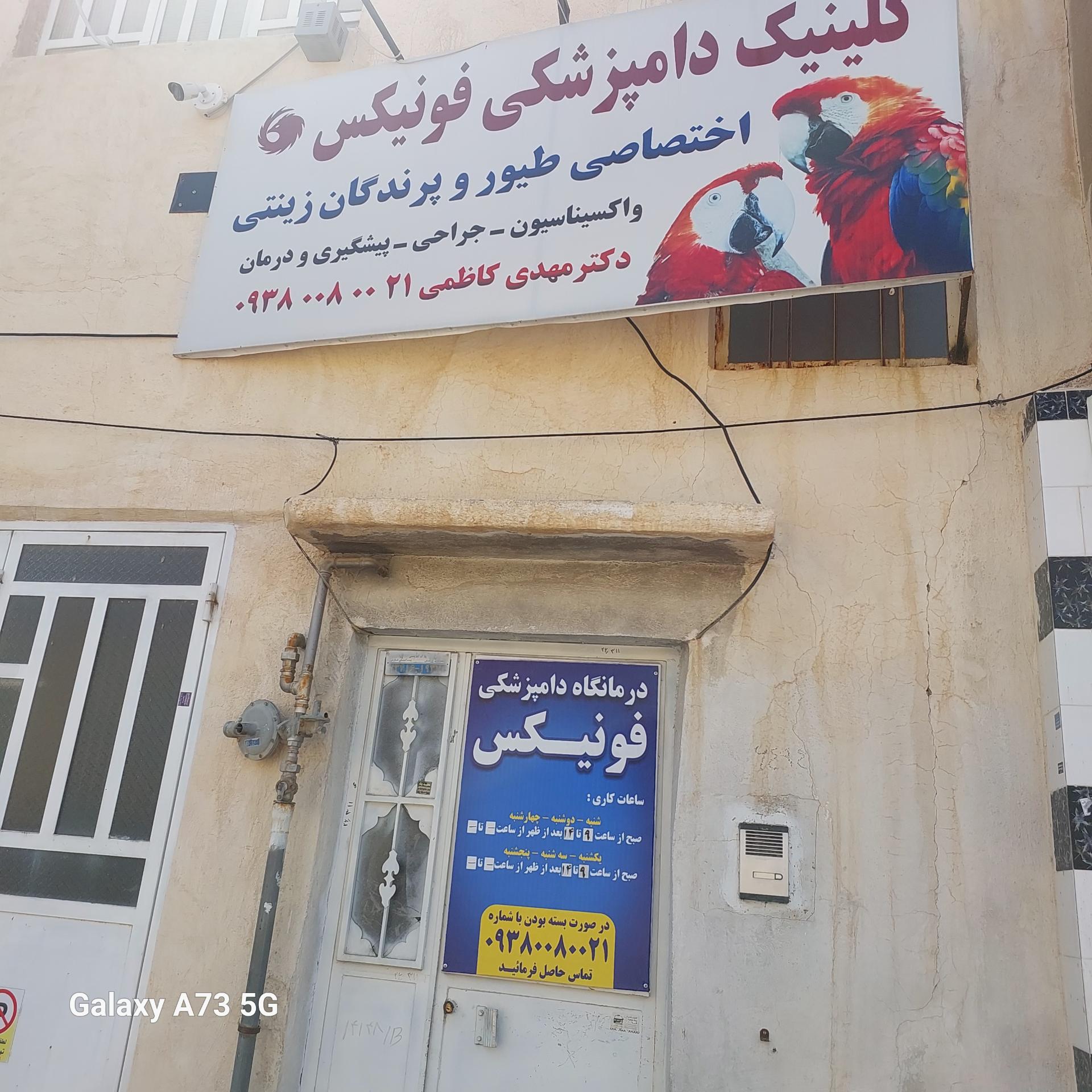 عکس کلینیک دامپزشکی فونیکس