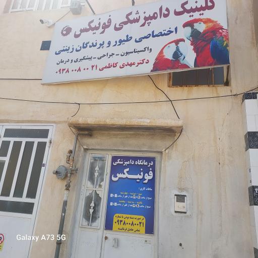 عکس کلینیک دامپزشکی فونیکس